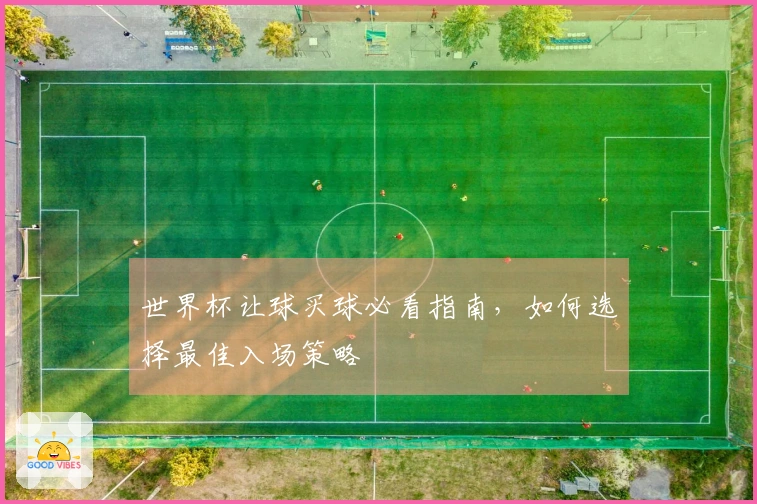 世界杯让球买球必看指南，如何选择最佳入场策略