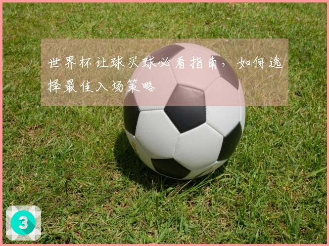 世界杯让球买球必看指南，如何选择最佳入场策略